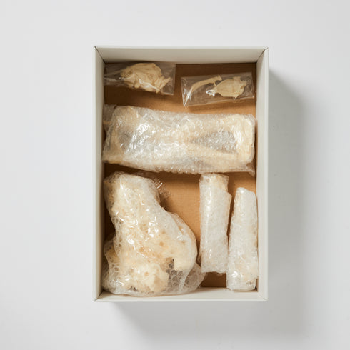 エロゥシブガイバー 竹谷隆之