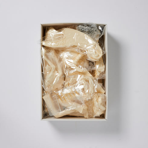 O.I.P. 手術中 竹谷隆之